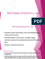 Septicemia Epizootica (Se)