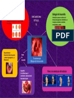 Terminologías