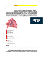 SISTEMA CARDIOVASCULAR aydad