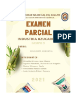 INDUSTRIA AZUCARERA - EX. PARCIAL (1)