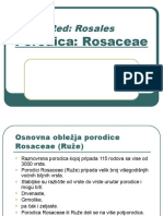 Porodica Rosacea