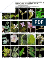 Alvear Et Al 2015farallones Vallecauca - Melastomes-B1