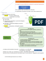 circulatia la plante SE