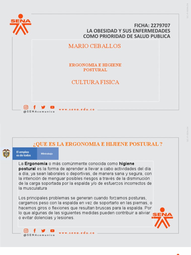 Ergonomia e Higiene Postural Mario Ceballos | PDF | Factores humanos y ...