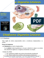 Aula Organelas Citoplasmaticas