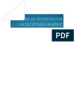 notarial  II   Escritura matriz