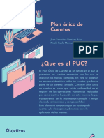 Plan Único de Cuentas: Juan Sebastian Ramírez Ariza Nicole Paola Márquez Durán