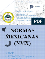 Normas Mexicanas