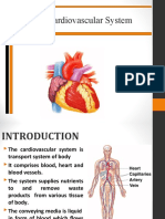 The Cardio Vascular System