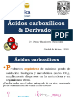 Acidos Carboxilicos&Derivados IQ S