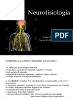 Neurofisiologia