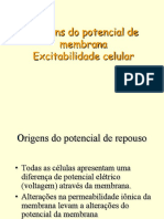 Origens Do Potencial de Membrana Excitabilidade Celular