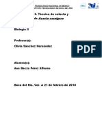 Participación 5. Técnicas de Colecta. Pérez Alfonso