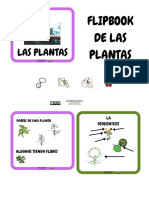 Flipbook_Las_plantas_Adaptacion_1_ESO