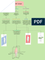 Planos Que Atraviesan El Cuerpo Humano