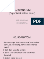 Organisasi Sistem Saraf