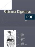 Digestivo 2013