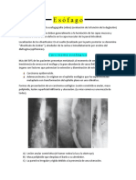 Esófago y Estómago