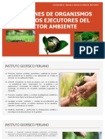 Angulo-Funciones de Organismos Publicos Ejecutores Del Sector Ambiente
