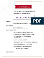 Nectar de Piña Informe