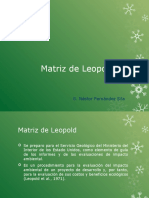Diapositivas Leopold