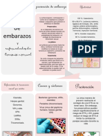 Tríptico Prevención de Embarazos