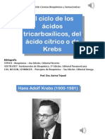 5 PDH Ciclo de Krebs