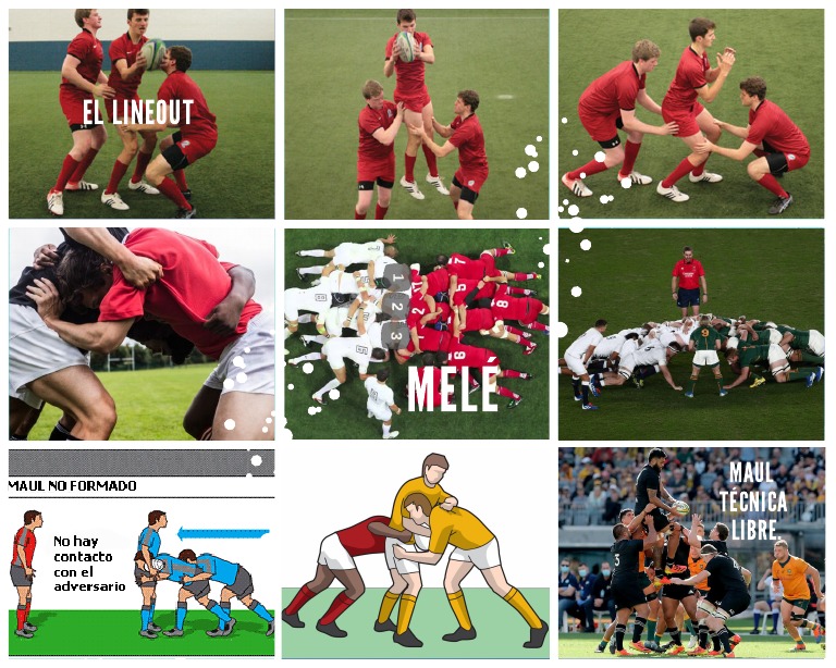Collage | PDF