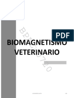 BIOMAGNETISMO PERRO y GATO