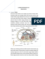 PDF LP Peritonitis DL