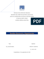 Gestion Gerencial y Organizacion