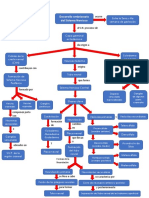 Mapa Conceptual. Desarrollo Embrionario Del Sistema Nervioso