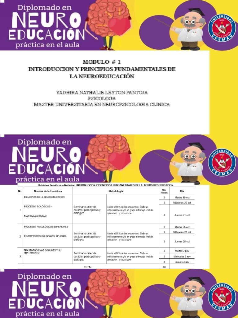 Principios de Neuroeducación en el Aula | PDF | Aprendizaje | Neurociencia