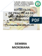 PRACTICA N°4. Siembra Microbiana