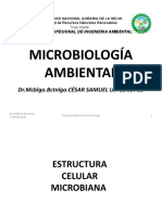 2.1. Estructura Celular microbiana