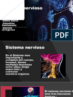 Nervios