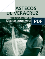 Huastecos Veracruz