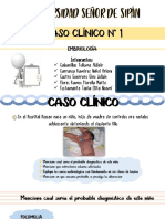 Caso Clínico - 1 PDF