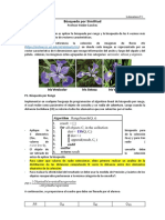 Guia de Laboratorio 9.1