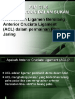 Anterior Cruciate Ligament (ACL)