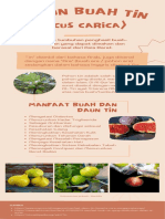 Plant Info Pohon Buah Tin