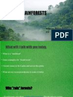 Rainforests: Induwara Thisarindu 6-G