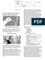 Guia 7, PDF