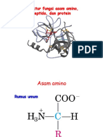 03 - Asam Amino, Peptida, Protein