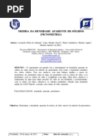 Prática 2 - Picnometria