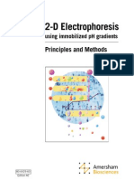 2D Electrophoresis