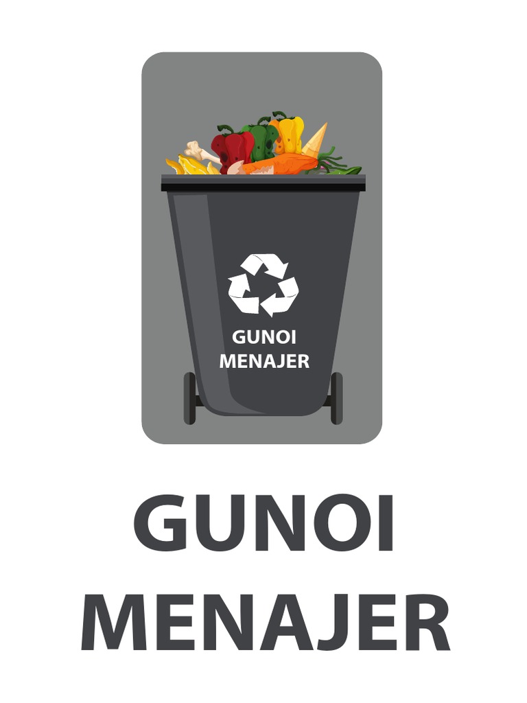 Afis - Gunoi Menajer | PDF