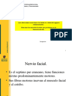 Anatomia Caso Clinico - Javi