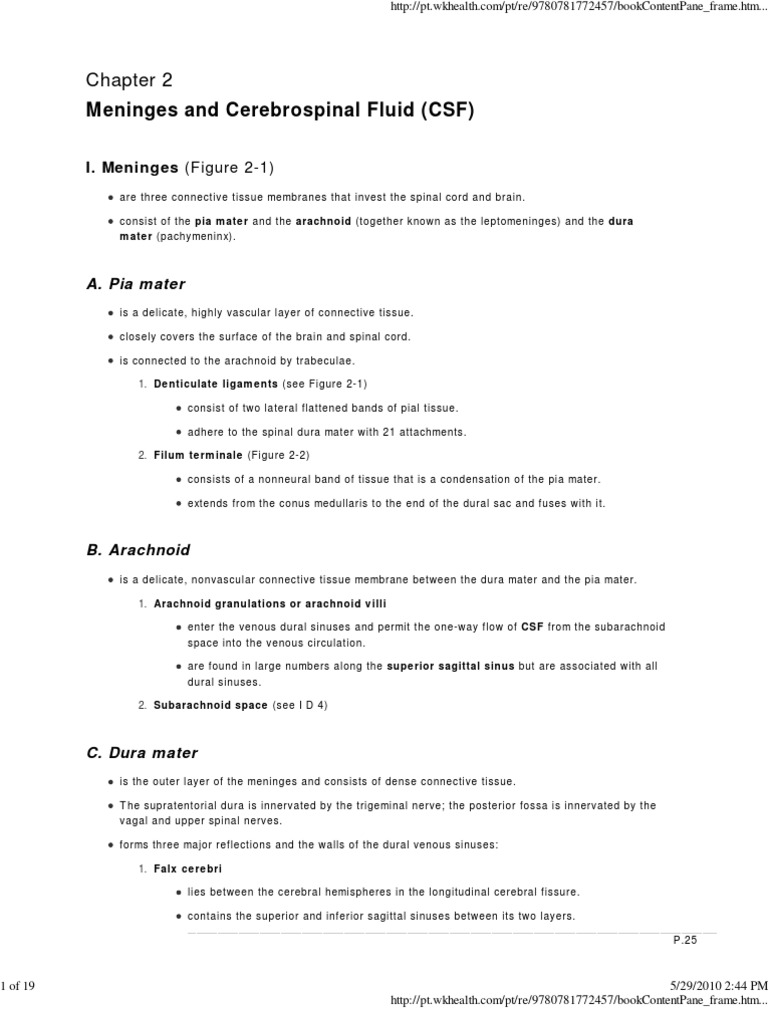 Chapter2 - Meninges and CSF | PDF | Cerebrospinal Fluid | Central ...