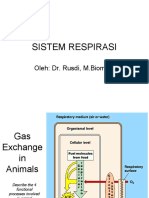 Sistem Respirasi: Oleh: Dr. Rusdi, M.Biomed